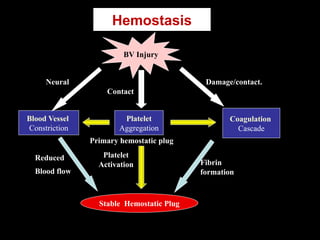 Hemostasis
BV Injury
Platelet
Aggregation
Platelet
Activation
Blood Vessel
Constriction
Coagulation
Cascade
Stable Hemostatic Plug
Fibrin
formation
Reduced
Blood flow
Damage/contact.
Primary hemostatic plug
Neural
Contact
 