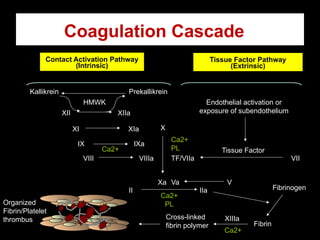 Coagulation Cascade
XII XIIa
XI XIa
IX
VIII VIIIa
X
Xa
Contact Activation Pathway
(Intrinsic)
Tissue Factor Pathway
(Extrinsic)
Endothelial activation or
exposure of subendothelium
Tissue Factor
VII
TF/VIIa
Kallikrein
HMWK
Prekallikrein
IIa
II
Ca2+
PL
Va V
Organized
Fibrin/Platelet
thrombus
Fibrinogen
Fibrin
Ca2+
PL
Ca2+
Cross-linked
fibrin polymer
XIIIa
Ca2+
IXa
 