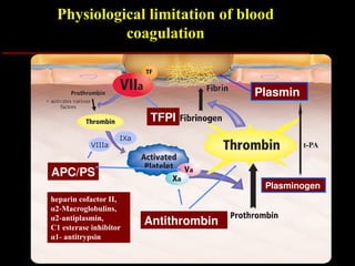 VIIIa
IXa
+ activates various
factors
APC/PS
TFPI
Antithrombin
Plasmin
Physiological limitation of blood
coagulation
heparin cofactor II,
α2 Macroglobulins,
‐
α2 antiplasmin,
‐
C1 esterase inhibitor
α1 antitrypsin
‐
Plasminogen
t-PA
 