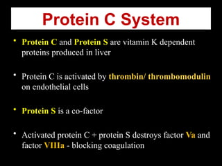 Protein C System
• Protein C and Protein S are vitamin K dependent
proteins produced in liver
• Protein C is activated by thrombin/ thrombomodulin
on endothelial cells
• Protein S is a co-factor
• Activated protein C + protein S destroys factor Va and
factor VIIIa - blocking coagulation
 