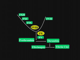 FXI
FIX
FXII
FV
FVII
Prothrombin Thrombin
Fibrinogen Fibrin Clot
FVIII
FX
 