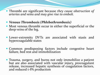  Thrombi are significant because they cause obstruction of
arteries and veins and may give rise to emboli.
 Venous Thrombosis (Phlebothrombosis)
 Most venous thrombi occur in either the superficial or the
deep veins of the leg.
 Lower-extremity DVTs are associated with stasis and
hypercoagulable states
 Common predisposing factors include congestive heart
failure, bed rest and immobilization
 Trauma, surgery, and burns not only immobilize a patient
but are also associated with vascular injury, procoagulant
release, increased hepatic synthesis of coagulation factors,
and reduced t-PA production
 