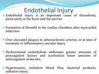 Endothelial Injury
 Endothelial injury is an important cause of thrombosis,
particularly in the heart and the arteries
 Formation of thrombi in the cardiac chambers after myocardial
infarction
 Over ulcerated plaques in atherosclerotic arteries, or at sites of
traumatic or inflammatory vascular injury
 Dysfunctional endothelium elaborates greater amounts of
procoagulant factors and synthesizes lesser amounts of
anticoagulant molecules.
 Hypertension, turbulent blood flow, bacterial products,
radiation injury.
 