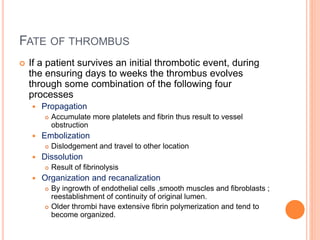 FATE OF THROMBUS
 If a patient survives an initial thrombotic event, during
the ensuring days to weeks the thrombus evolves
through some combination of the following four
processes
 Propagation
 Accumulate more platelets and fibrin thus result to vessel
obstruction
 Embolization
 Dislodgement and travel to other location
 Dissolution
 Result of fibrinolysis
 Organization and recanalization
 By ingrowth of endothelial cells ,smooth muscles and fibroblasts ;
reestablishment of continuity of original lumen.
 Older thrombi have extensive fibrin polymerization and tend to
become organized.
 