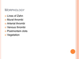 MORPHOLOGY
 Lines of Zahn
 Mural thrombi
 Arterial thrombi
 Venous thrombi
 Postmortem clots
 Vegetation
 