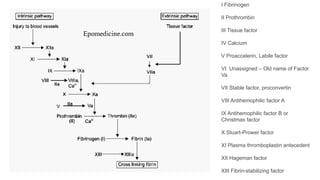 I Fibrinogen
II Prothrombin
III Tissue factor
IV Calcium
V Proaccelerin, Labile factor
VI Unassigned – Old name of Factor
Va
VII Stable factor, proconvertin
VIII Antihemophilic factor A
IX Antihemophilic factor B or
Christmas factor
X Stuart-Prower factor
XI Plasma thromboplastin antecedent
XII Hageman factor
XIII Fibrin-stabilizing factor
 