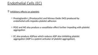 Endothelial Cells (EC)
 Inhibitory effects on platelets
o Prostaglandin I2 (Prostacyclin) and Nitrous Oxide (NO) produced by
endothelial cells impedes platelet adhesion
o PGI2 and NO also produce a vasodilator effect further impeding with platelet
aggregation
o EC also produce ADPase which reduces ADP also inhibiting platelet
aggregation (ADP is a potent activator of platelet aggregation).
 
