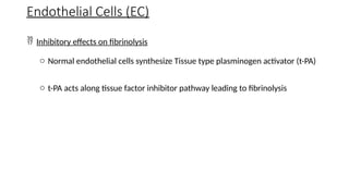  Inhibitory effects on fibrinolysis
o Normal endothelial cells synthesize Tissue type plasminogen activator (t-PA)
o t-PA acts along tissue factor inhibitor pathway leading to fibrinolysis
Endothelial Cells (EC)
 