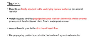 Thrombi
• Thrombi are focally attached to the underlying vascular surface at the point of
initiation
• Morphologically thrombi propagate towards the heart and hence arterial thrombi
grow against the direction of blood flow in a retrograde manner
• Venous thrombi grow in the direction of blood flow
• The propagating portion is poorly attached and can fragment and embolize
 