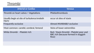Arterial or Cardiac Venous
Thrombi on heart valves = Vegetations Phlebothrombosis
Usually begin at site of turbulence/endoth
injury
occur at sites of stasis
Frequently occlusive Almost INVARIABLY occlusive
Most common: carotid, cerebral, femoral Veins of lower extremities
White thrombi - Platelet rich Red / Stasis thrombi - Platelet poor and
RBC rich (because formed in sluggish
flow)
Thrombi
 