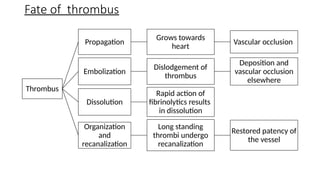 Fate of thrombus
Thrombus
Propagation
Grows towards
heart
Vascular occlusion
Embolization
Dislodgement of
thrombus
Deposition and
vascular occlusion
elsewhere
Dissolution
Rapid action of
fibrinolytics results
in dissolution
Organization
and
recanalization
Long standing
thrombi undergo
recanalization
Restored patency of
the vessel
 