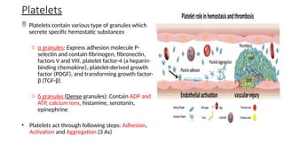 Platelets
 Platelets contain various type of granules which
secrete specific hemostatic substances
o α granules: Express adhesion molecule P-
selectin and contain fibrinogen, fibronectin,
factors V and VIII, platelet factor-4 (a heparin-
binding chemokine), platelet-derived growth
factor (PDGF), and transforming growth factor-
β (TGF-β)
o δ granules (Dense granules): Contain ADP and
ATP, calcium ions, histamine, serotonin,
epinephrine
• Platelets act through following steps: Adhesion,
Activation and Aggregation (3 As)
 