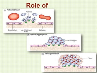 Role of
platelets
 