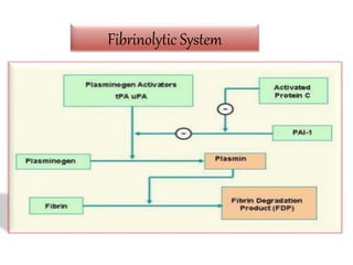 Fibrinolytic System
 
