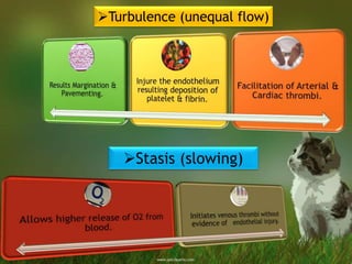 Turbulence (unequal flow)
Stasis (slowing)
 