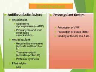 Endothelium
 Antithrombotic factors
 Antiplatelet
 Adenosine
diphosphatase ( ADP)
 Prostacyclin and nitric
oxide (also
vasodilatation)
 Anticoagulant
 Heparin-like molecules
(activate antithrombin
III)
 Thrombomodulin
(activates protein C)
 Protein S synthesis
 Fibrinolytic
 t-PA
 Procoagulant factors
 Production of vWF
 Production of tissue factor
 Binding of factors IXa & Xa.
 