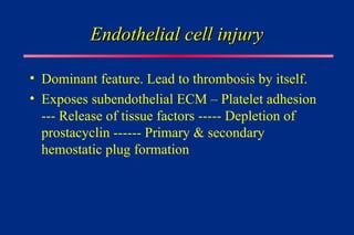 Endothelial cell injury
Endothelial cell injury
• Dominant feature. Lead to thrombosis by itself.
• Exposes subendothelial ECM – Platelet adhesion
--- Release of tissue factors ----- Depletion of
prostacyclin ------ Primary & secondary
hemostatic plug formation
 