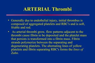 ARTERIAL Thrombi
• Generally due to endothelial injury, initial thrombus is
composed of aggregated platelets and RBC's and is soft,
friable and red.
• As arterial thrombi grow, flow patterns adjacent to the
thrombi cause fibrin to be deposited and the platelet mass
that persists is transformed into a fibrin mass. Fibrin
strands polymerize between the separating and
degenerating platelets. The alternating lines of yellow
platelets and fibrin separating RBC's forms the lines of
Zahn.
 