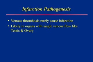 Infarction Pathogenesis
Infarction Pathogenesis
• Venous thrombosis rarely cause infarction
• Likely in organs with single venous flow like
Testis & Ovary
 