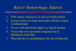 Red or Hemorrhagic Infarcts
Red or Hemorrhagic Infarcts
1. With venous occlusion as in case of ovarian torsion
2. In loose tissue as in lung which allows blood to collect
in infarcted area
3. Tissues with dual blood supply e.g. lung & intestine
4. Tissues that were previously congested due to
obstructed venous flow
5. When the flow is reestablished to the site of infarction
 
