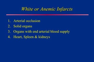 White or Anemic Infarcts
White or Anemic Infarcts
1. Arterial occlusion
2. Solid organs
3. Organs with end arterial blood supply
4. Heart, Spleen & kidneys
 