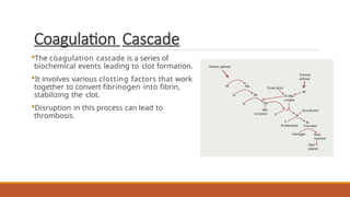 Coagulation Cascade
The coagulation cascade is a series of
biochemical events leading to clot formation.
It involves various clotting factors that work
together to convert fibrinogen into fibrin,
stabilizing the clot.
Disruption in this process can lead to
thrombosis.
 