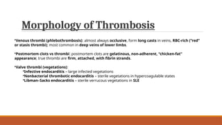 Morphology of Thrombosis
•Venous thrombi (phlebothrombosis): almost always occlusive, form long casts in veins, RBC-rich (“red”
or stasis thrombi); most common in deep veins of lower limbs.
•Postmortem clots vs thrombi: postmortem clots are gelatinous, non-adherent, “chicken-fat”
appearance; true thrombi are firm, attached, with fibrin strands.
•Valve thrombi (vegetations):
•Infective endocarditis – large infected vegetations
•Nonbacterial thrombotic endocarditis – sterile vegetations in hypercoagulable states
•Libman–Sacks endocarditis – sterile verrucous vegetations in SLE
 