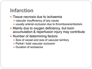 Infarction
 Tissue necrosis due to ischaemia
 vascular insufficiency of any cause
 usually arterial occlusion due to thrombosis/embolism
 Mainly due to oxygen deficiency, but toxin
accumulation & reperfusion injury may contribute
 Number of determining factors
 Size of vessel and size of vascular territory
 Partial / total vascular occlusion
 Duration of ischaemia
 