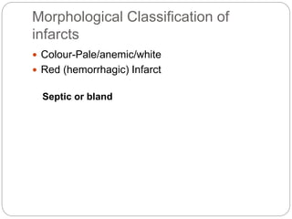Morphological Classification of
infarcts
 Colour-Pale/anemic/white
 Red (hemorrhagic) Infarct
Septic or bland
 