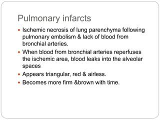 Pulmonary infarcts
 Ischemic necrosis of lung parenchyma following
pulmonary embolism & lack of blood from
bronchial arteries.
 When blood from bronchial arteries reperfuses
the ischemic area, blood leaks into the alveolar
spaces
 Appears triangular, red & airless.
 Becomes more firm &brown with time.
 
