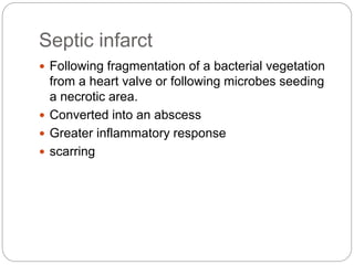 Septic infarct
 Following fragmentation of a bacterial vegetation
from a heart valve or following microbes seeding
a necrotic area.
 Converted into an abscess
 Greater inflammatory response
 scarring
 