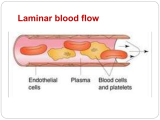 Laminar blood flow
 