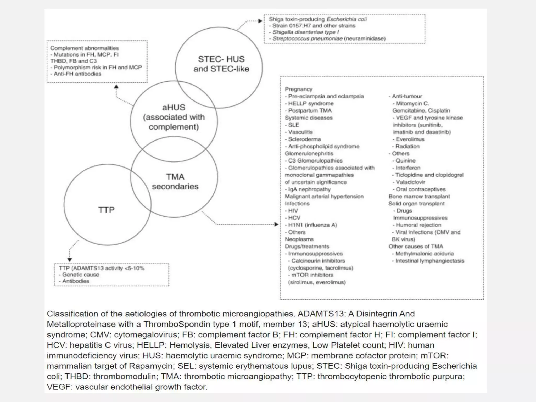 Thrombotic microangiopathies | PPT