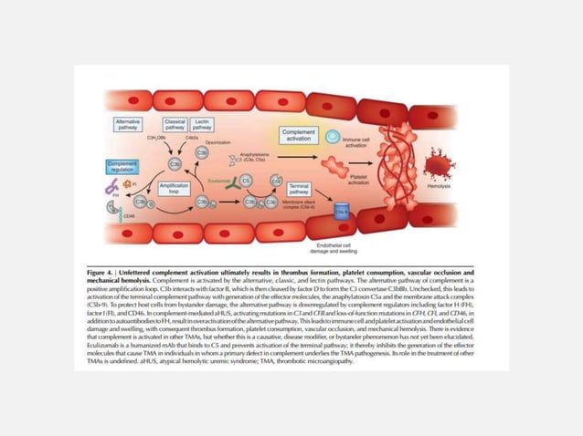 Thrombotic microangiopathies | PPT