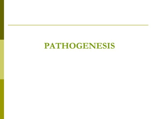 PATHOGENESIS
 