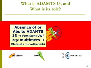 Absence of or
Abs to ADAMTS
13 → Persistent vWF
large multimers →
Platelets microthrombi
What is ADAMTS 13, and
What is its role?
Platelets vWF ADAMTS 13
4
 