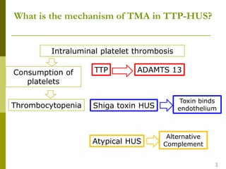 Intraluminal platelet thrombosis
Thrombocytopenia
Consumption of
platelets
TTP
Shiga toxin HUS
Atypical HUS
ADAMTS 13
Toxin binds
endothelium
Alternative
Complement
What is the mechanism of TMA in TTP-HUS?
1
 