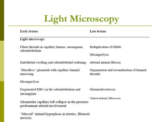 Light Microscopy
 