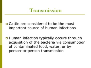 Transmission
 Cattle are considered to be the most
important source of human infections
 Human infection typically occurs through
acquisition of the bacteria via consumption
of contaminated food, water, or by
person-to-person transmission
 