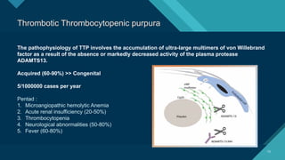 Click to edit Master title style
13
13
Thrombotic Thrombocytopenic purpura
The pathophysiology of TTP involves the accumulation of ultra-large multimers of von Willebrand
factor as a result of the absence or markedly decreased activity of the plasma protease
ADAMTS13.
Acquired (60-90%) >> Congenital
5/1000000 cases per year
Pentad :
1. Microangiopathic hemolytic Anemia
2. Acute renal insufficiency (20-50%)
3. Thrombocytopenia
4. Neurological abnormalities (50-80%)
5. Fever (60-80%)
 