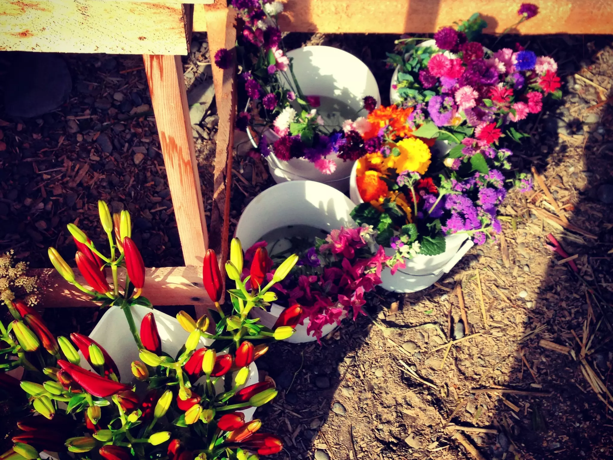 Though The Lens of an iPhone: Alaska