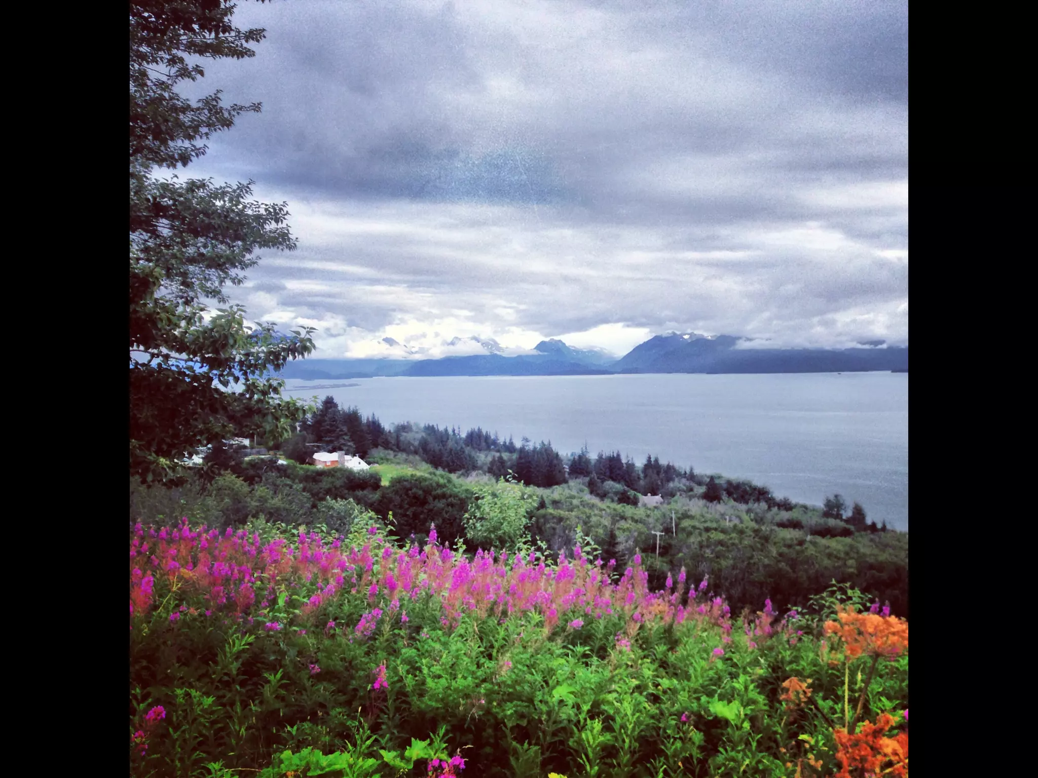 Though The Lens of an iPhone: Alaska