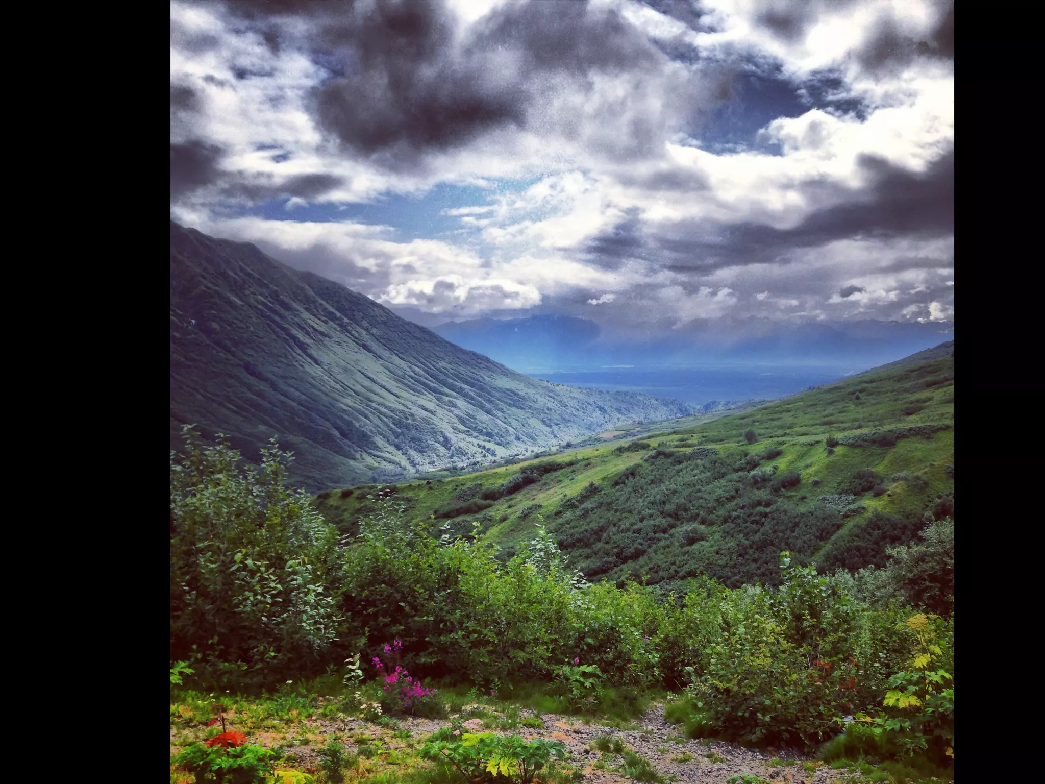 Though The Lens of an iPhone: Alaska