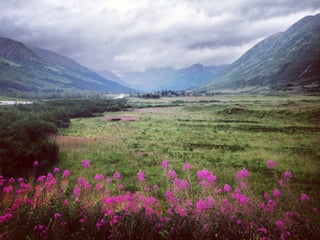 Though The Lens of an iPhone: Alaska