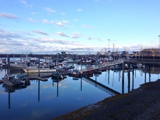 Though The Lens of an iPhone: Alaska