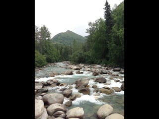 Though The Lens of an iPhone: Alaska