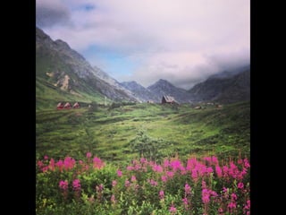 Though The Lens of an iPhone: Alaska