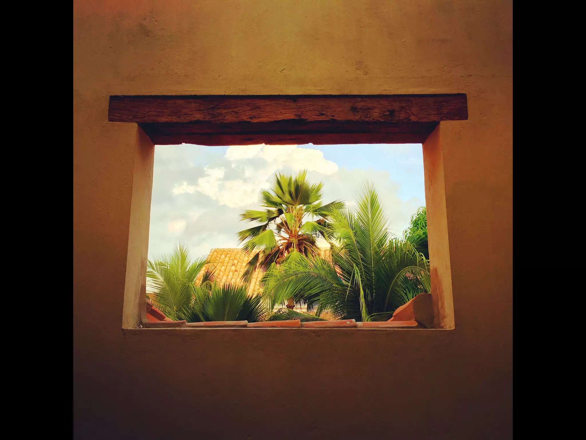 Though The Lens of an iPhone: Cartagena, Colombia