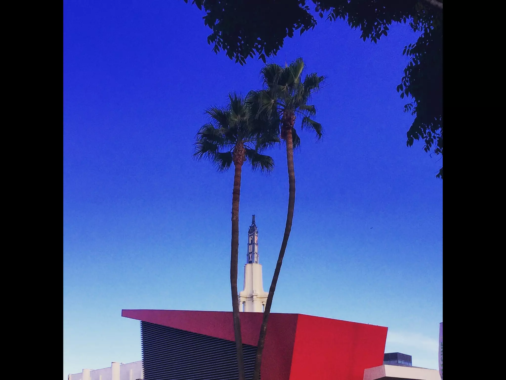 Though The Lens of an iPhone: Pacific Coast Highway