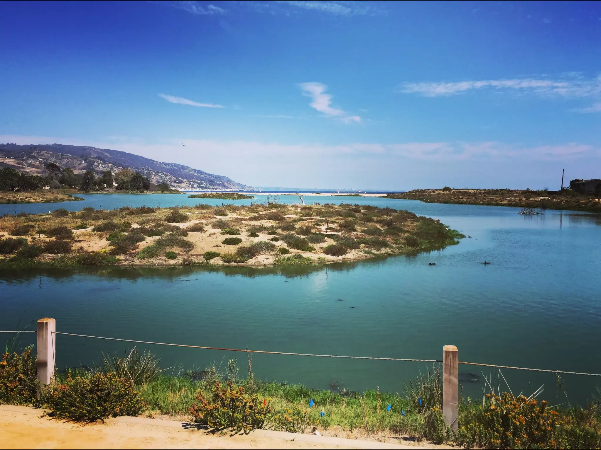 Though The Lens of an iPhone: Pacific Coast Highway